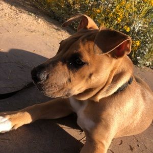 Meet your Posher, Krysta